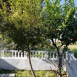 Διαμέρισμα Olga - 5 Minutes Away From The *