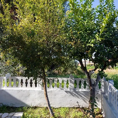 Appartamento Olga - 5 Minutes Away From The *
