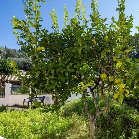 Appartamento Olga - 5 Minutes Away From The Agios Gordios (Corfu)