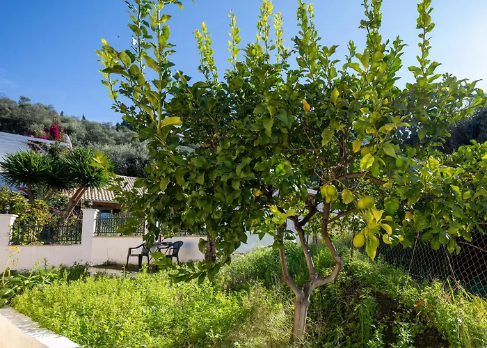 Apartamento Olga - 5 Minutes Away From The Agios Gordios (Corfu)